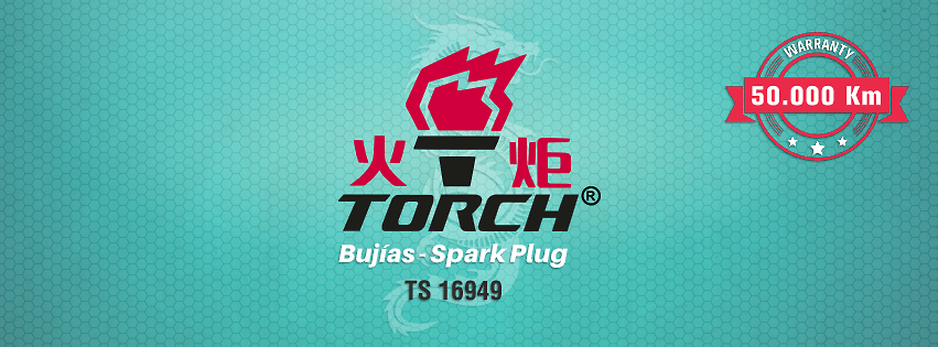 TORCH