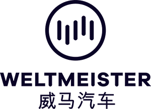 WELTMEISTER